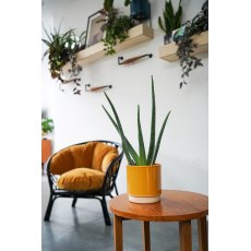 Eno Pot Mustard D11.5 cm H11.5cm