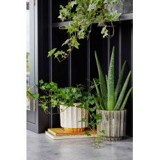 Lugano Scalloped Mustard Reactive Planter H16cm D16cm