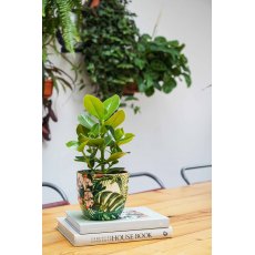 Monza Tropical Floral H13cm D13cm