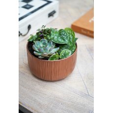 Premium Planting Bowl Copper H10cm D20cm