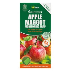 VITAX Apple Maggot Trap   1 trap