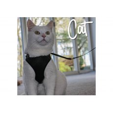ANCOL Soft Cat Harness and Lead Black S ANCOL Soft Cat Harness and Lead Black S