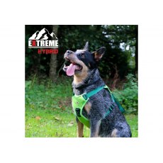 ANCOL Extreme Hybrid Harness Field Green   L