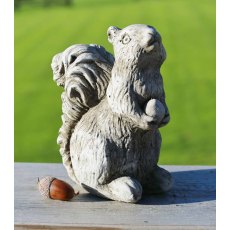 DRAGONSTONE Midi Squirrel DRAGONSTONE Midi Squirrel