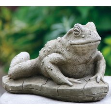 DRAGONSTONE Toad DRAGONSTONE Toad