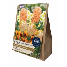 TAYLORS Layered Planter Collection TAYLORS Layered Planter Collection