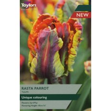 TAYLORS Tulip Rasta Parrot