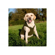 ANCOL Teddy Sherpa Fleece Green M