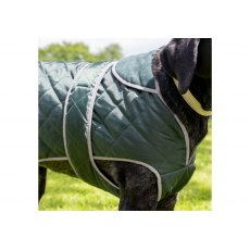 ANCOL Heritage Green Quilted Coat M