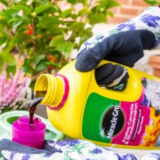MIRACLE-GRO® Azalea, Camellia & Rhododendron Concentrated Liquid Plant Food   800ml