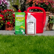 WEEDOL Lawn Concentrate   1L