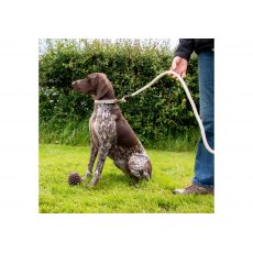 ANCOL Heritage Cotton Rope Lead Natural 150x1.5cm