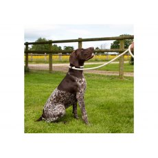 ANCOL Heritage Cotton Slip Lead Natural 150x1.5cm