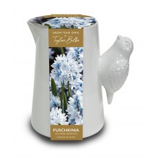 TAYLORS Luxury Bird Handle Jug