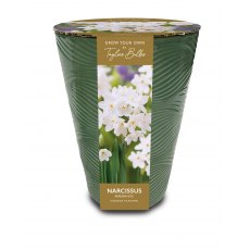 TAYLORS Paperwhite Ceramic Long Tom