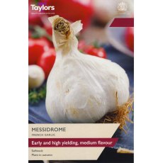 TAYLORS French Garlic Messidrome
