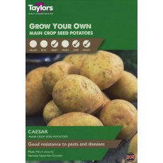 SEED POTATO - Caesar - Taster Pack SEED POTATO - Caesar - Taster Pack