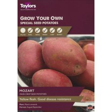 SEED POTATO - Mozart - Taster Pack