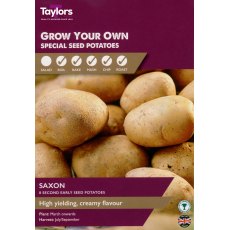 SEED POTATO - Saxon - Taster Pack