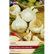 GARLIC - FRENCH 'Arno' GARLIC - FRENCH 'Arno'