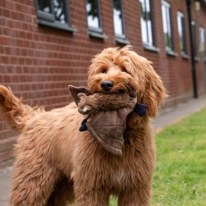 ANCOL Heritage Barnaby Bat Midi ANCOL Heritage Barnaby Bat Midi