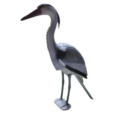 Bermuda Heron