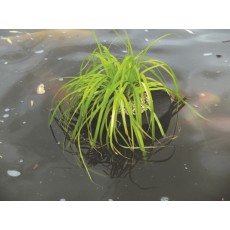 PONDXPERT Floating Planter Round 35cm