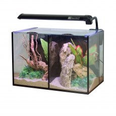 AQUA ONE Betta Duo Aquarium 20L 35x25x25cm