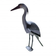 Bermuda Heron