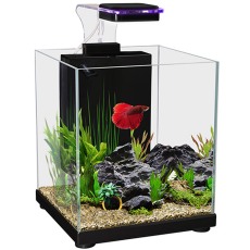 AQUA ONE Betta Sanctuary Glass Aquarium 10L 22.5 x 22.5 x 26cm Black