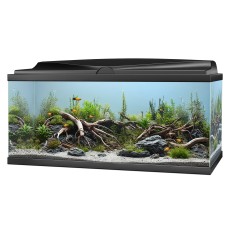 CIANO Aquarium 80 LED Black *New*