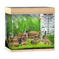 Juwel Lido 120 LED Aquarium - Light Wood