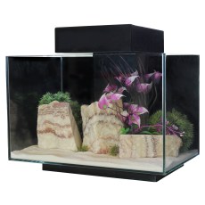 AQUA ONE Platform 21 Black, Incl Filter, LED Light And Base 40 x 25 x 25cmH