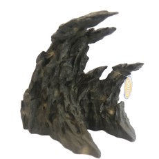 Betta Brown Wave Rock