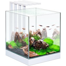CIANO Nexus Pure 25 Aquarium With LED Light