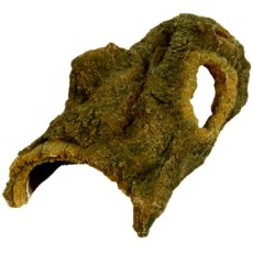 Large Log