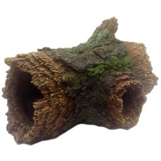 BETTA Medium Full Log