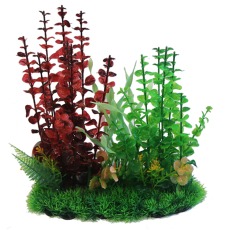 BETTA 13 Red & Green Combi Plant