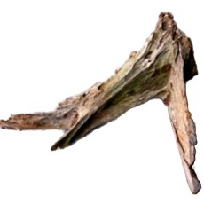 Single XXL Driftwood