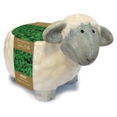 TAYLORS Novelty Sheep Planter