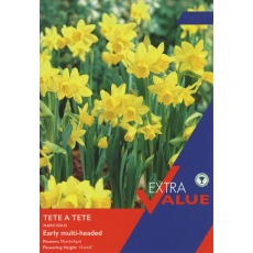 TAYLORS Species Narcissus Tete A Tete