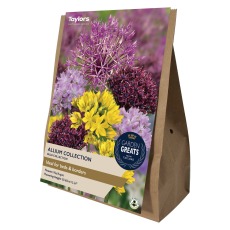 TAYLORS Allium Collection