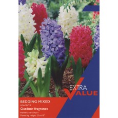 TAYLORS Hyacinth Bedding Mixed TAYLORS Hyacinth Bedding Mixed