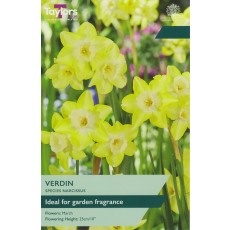 TAYLORS Narcissus Verdin