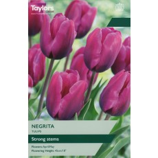 TAYLORS Tulip Negrita