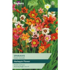 TAYLORS Sparaxis