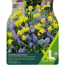 TAYLORS Woodland Walk - XL Range