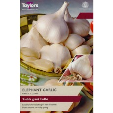 TAYLORS Garlic Elephant TAYLORS Garlic Elephant