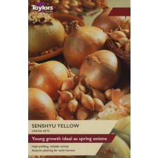 TAYLORS Onion Senshyu Yellow
