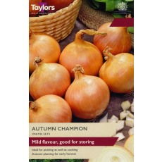 TAYLORS Onion Autumn Champion